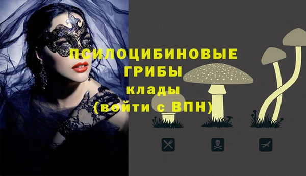 Альфа ПВП Зерноград