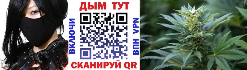 Купить  Нерчинск  Канабис Ganja 